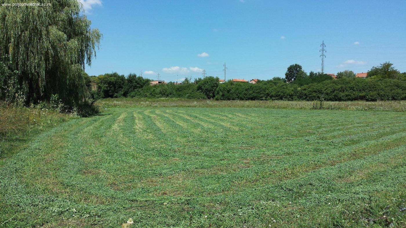Poljoprivredno zemljište NJIVA , Smederevska Palanka , sa bunarom